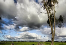 What are the causes of the emergence of depression